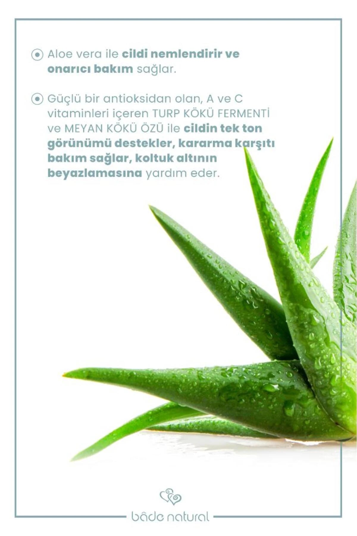 Natuurlijke roll-on deodorant, witmakend, anti-zweetgeur voor de oksels, 100% natuurlijk en vegan, 50 ml